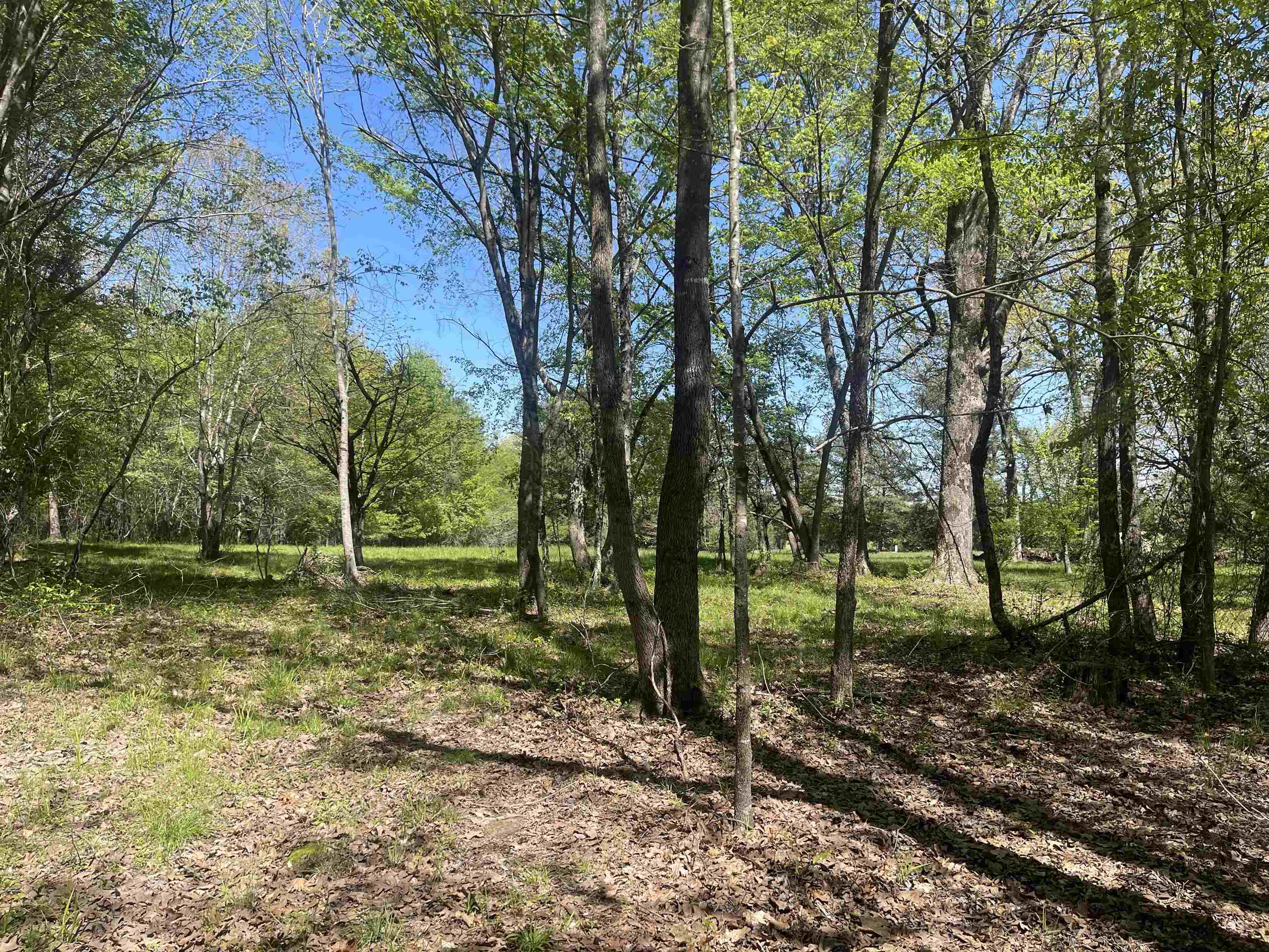 1 Woods Road Adamsville, TN 38310 - Photo 18 of 24 a view of a park