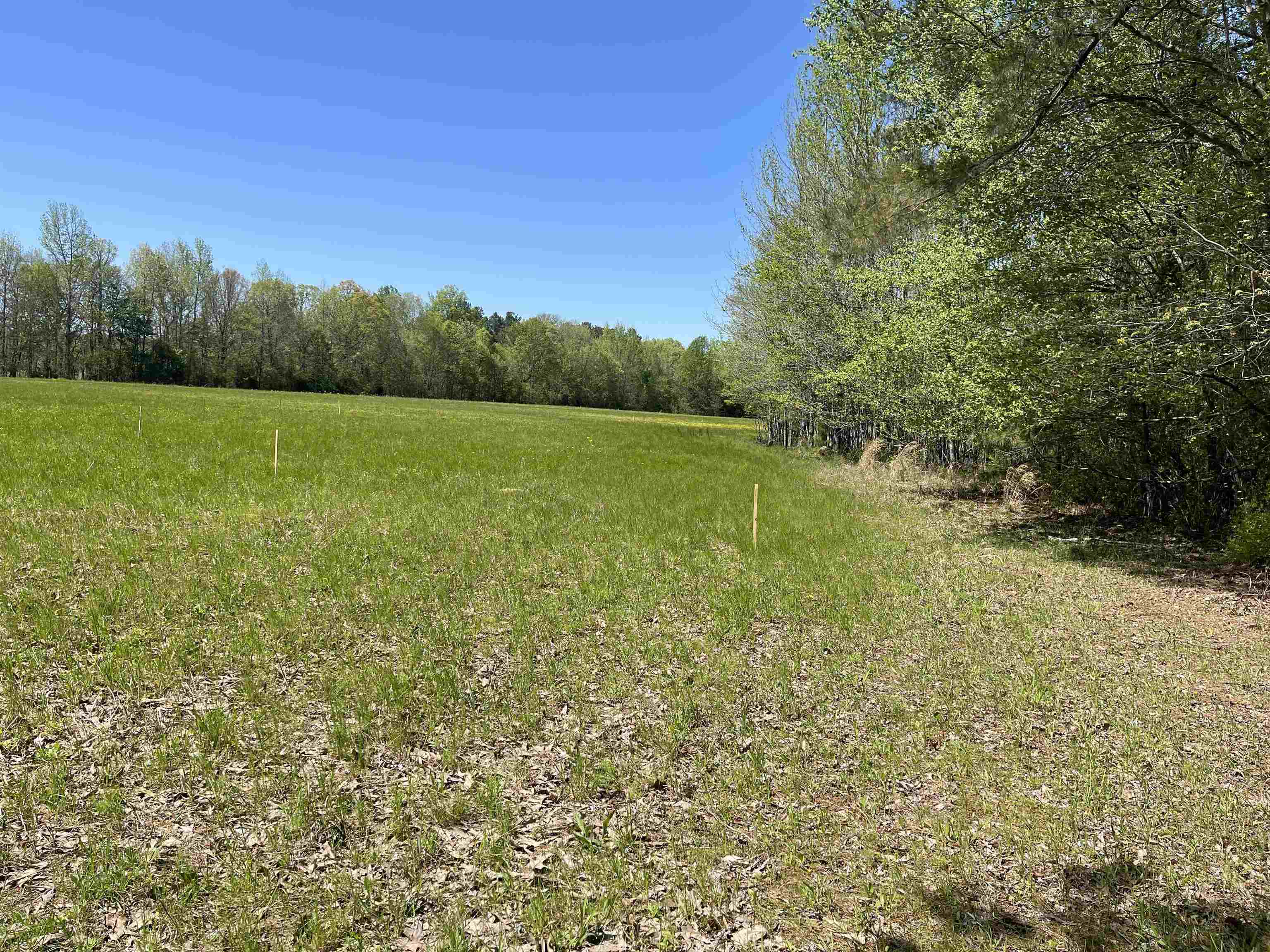 1 Woods Road Adamsville, TN 38310 - Photo 20 of 24 a view of a field with an trees in the background