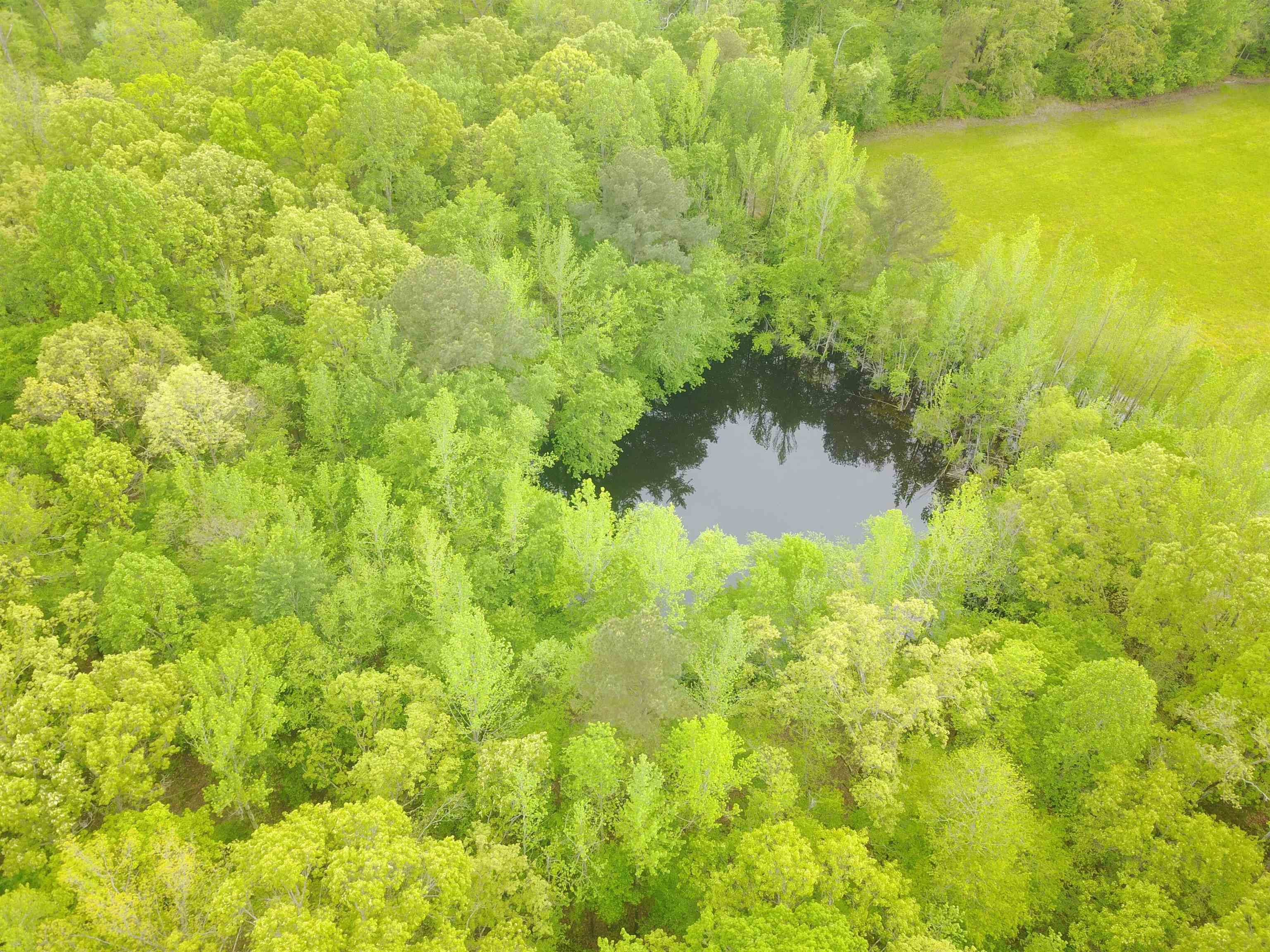 1 Woods Road Adamsville, TN 38310 - Photo 2 of 24