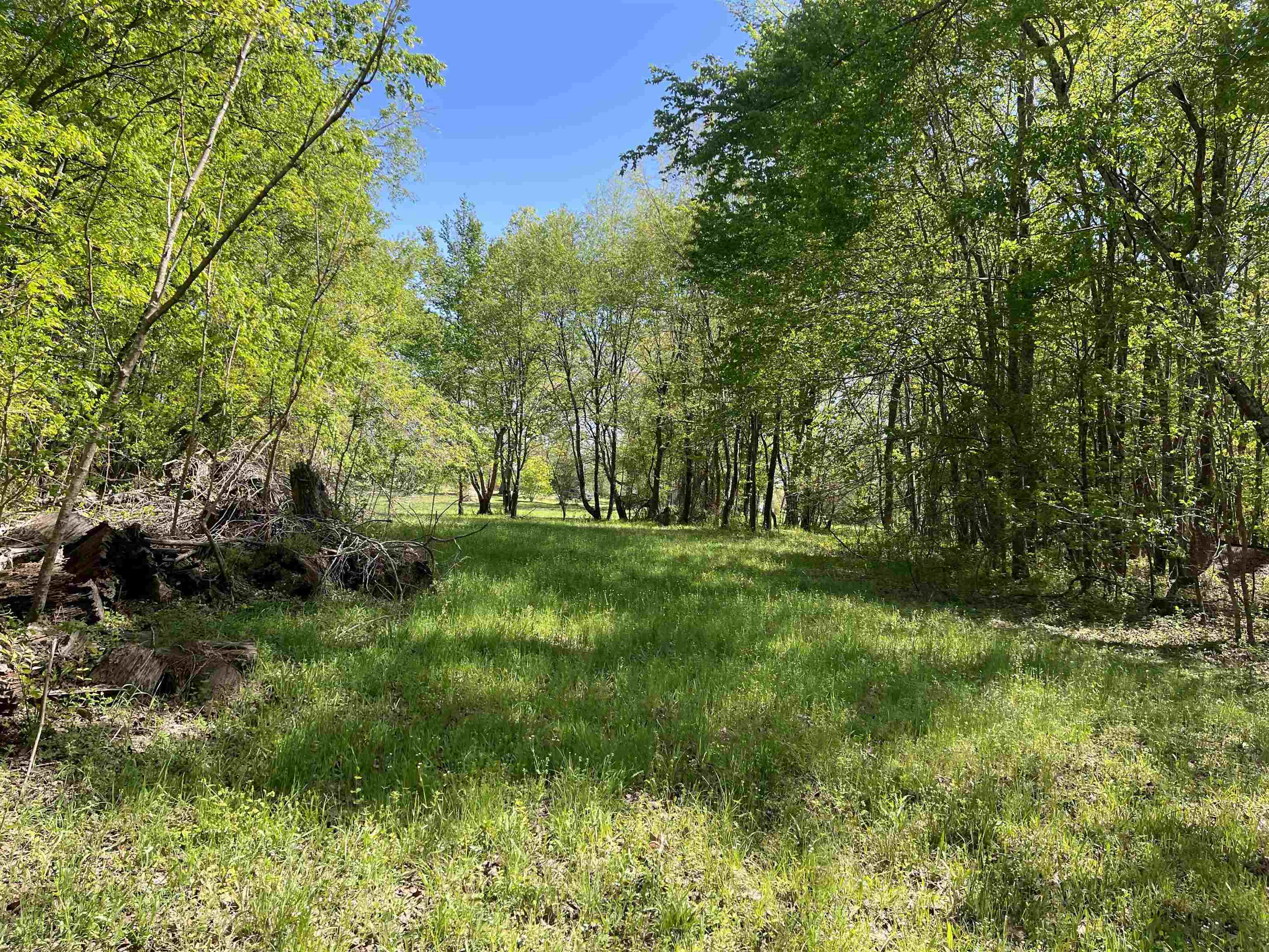 1 Woods Road Adamsville, TN 38310 - Photo 22 of 24 a view of park with trees