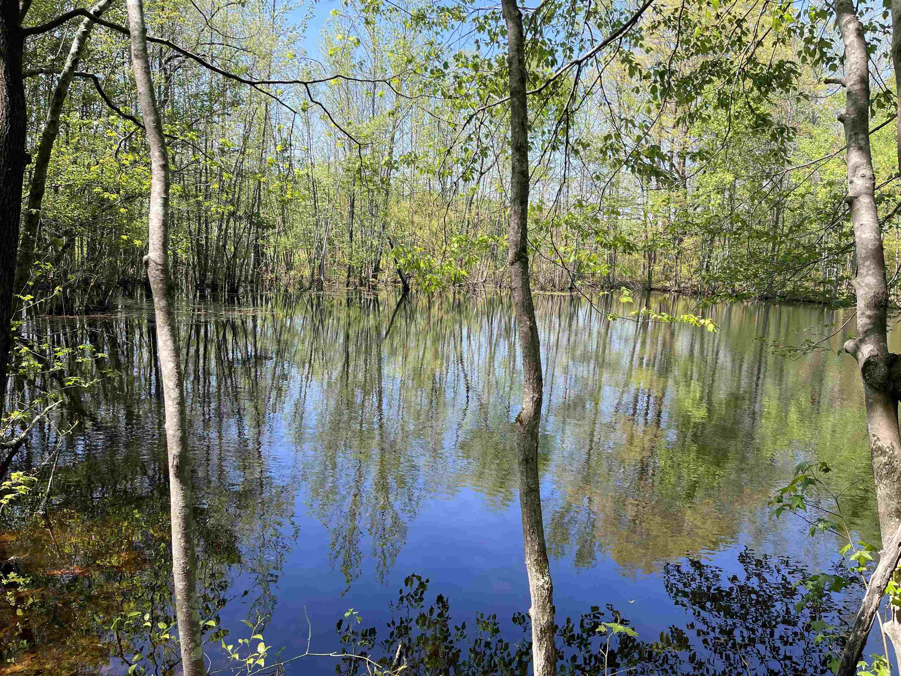 1 Woods Road Adamsville, TN 38310 - Photo 10 of 24 a view of lake from balcony