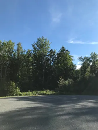 $80,000 | 8 Cradle Hill Lane, Unit LOT 8, Grantham, NH 03753