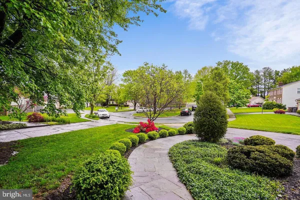 a view of a garden with plants and large trees