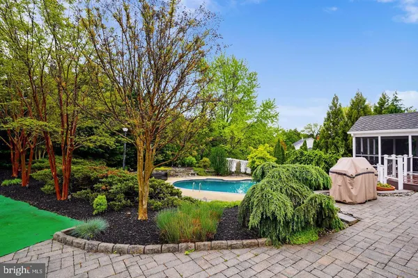 a view of a swimming pool with a yard and plants