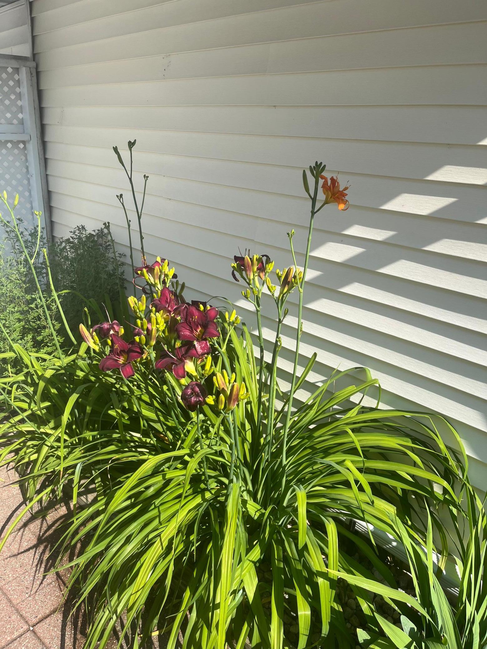 3111 22nd Street South Fargo, ND 58103 - Photo 23 of 26