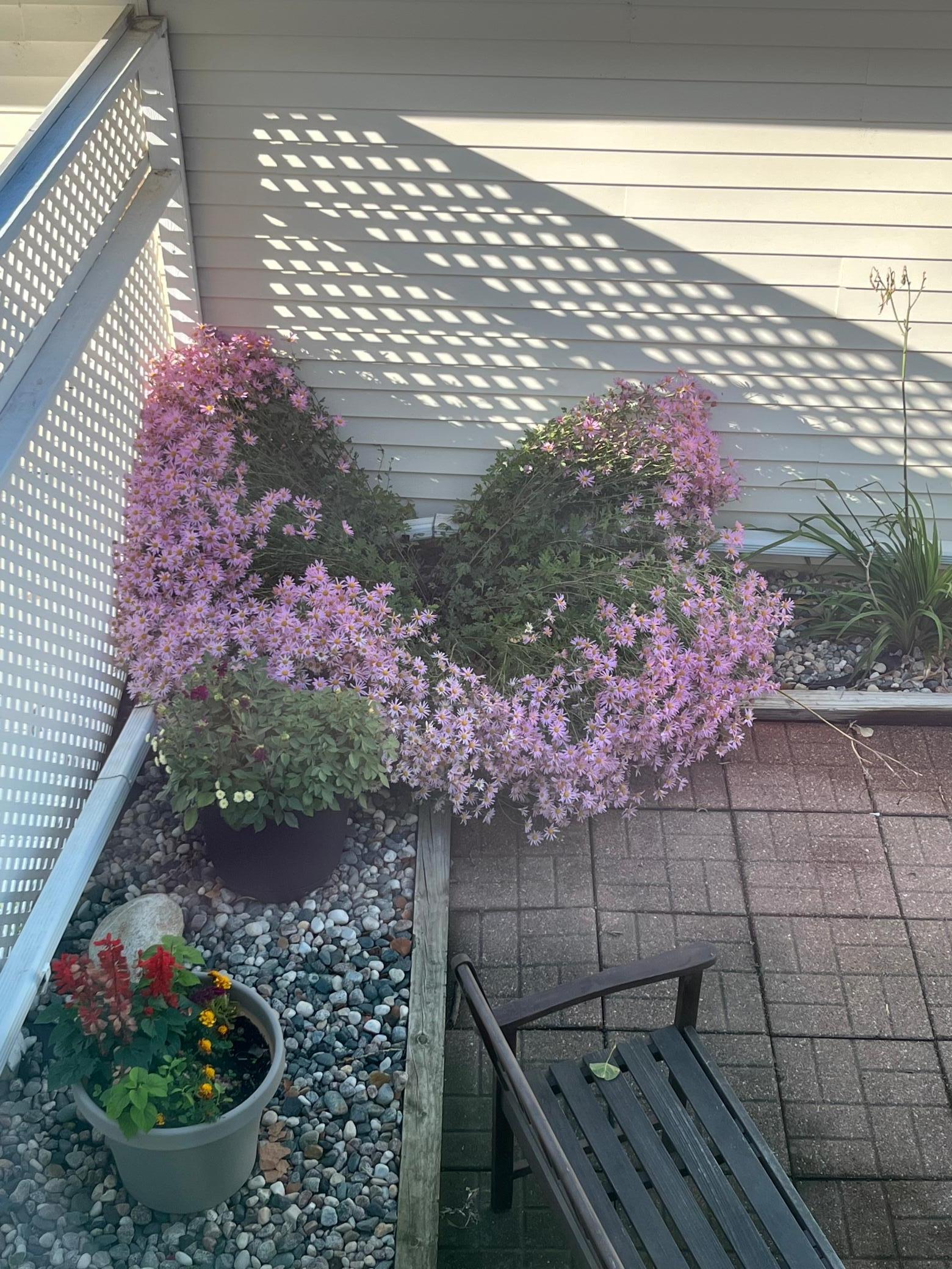 3111 22nd Street South Fargo, ND 58103 - Photo 24 of 26