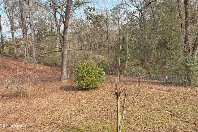 $245,000 | 122 Old Mobile Highway, Lucedale, MS 39452
