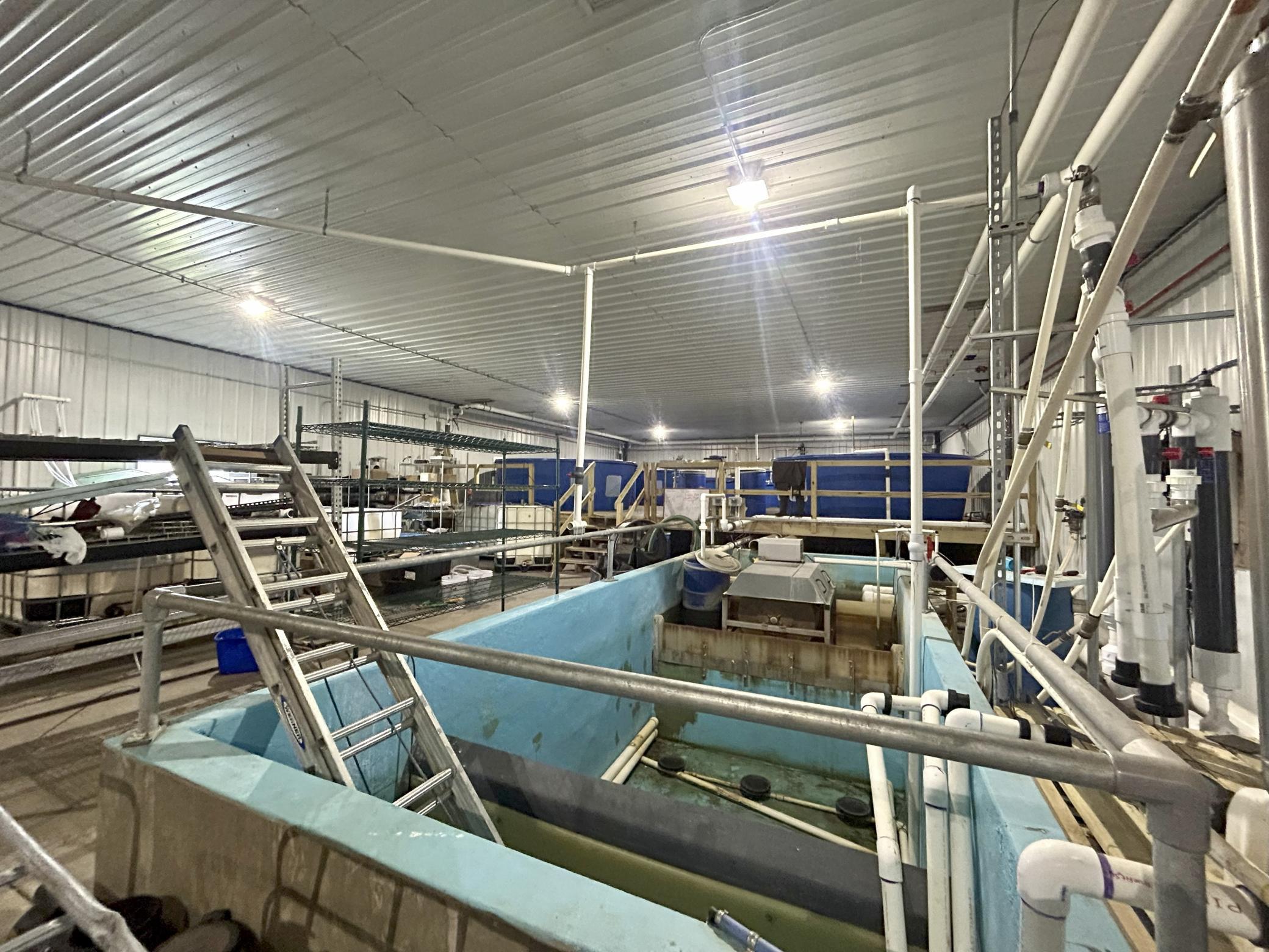 5410 253rd Avenue Northeast Stacy, MN 55079 - Photo 50 of 69