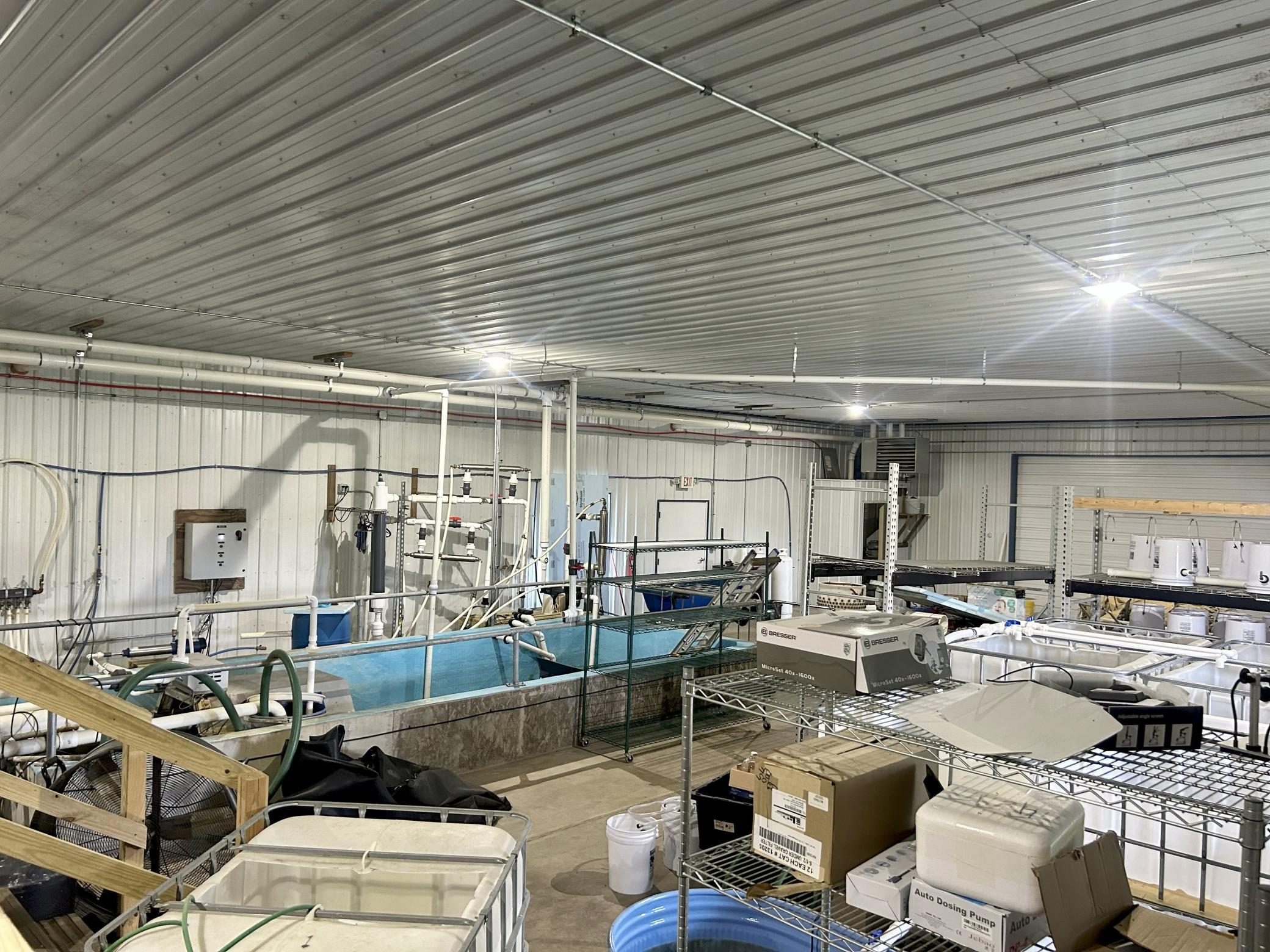 5410 253rd Avenue Northeast Stacy, MN 55079 - Photo 51 of 69