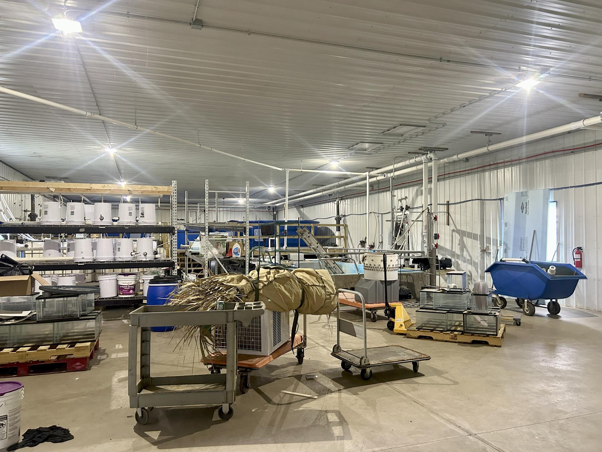 5410 253rd Avenue Northeast Stacy, MN 55079 - Photo 52 of 69