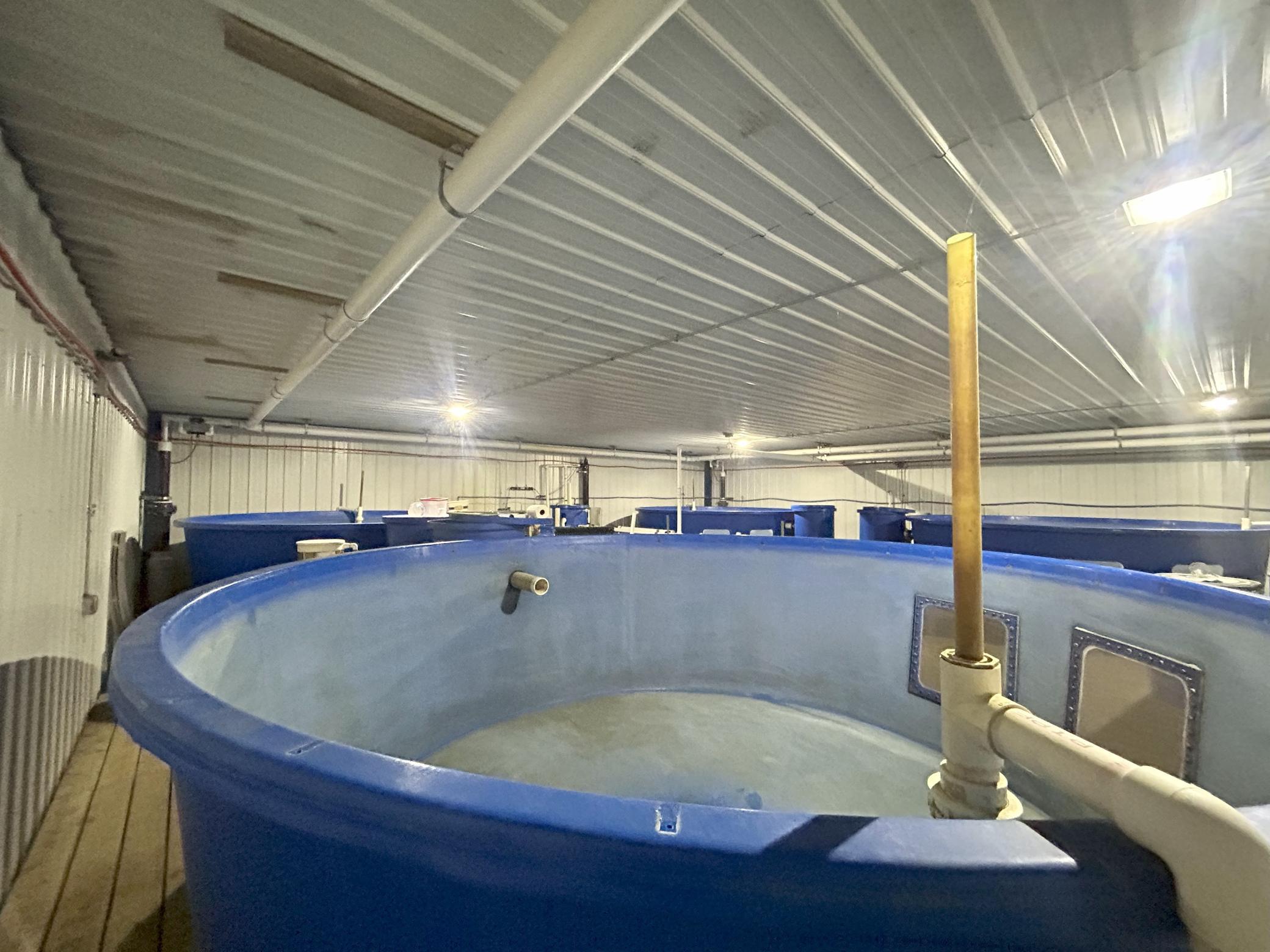 5410 253rd Avenue Northeast Stacy, MN 55079 - Photo 53 of 69