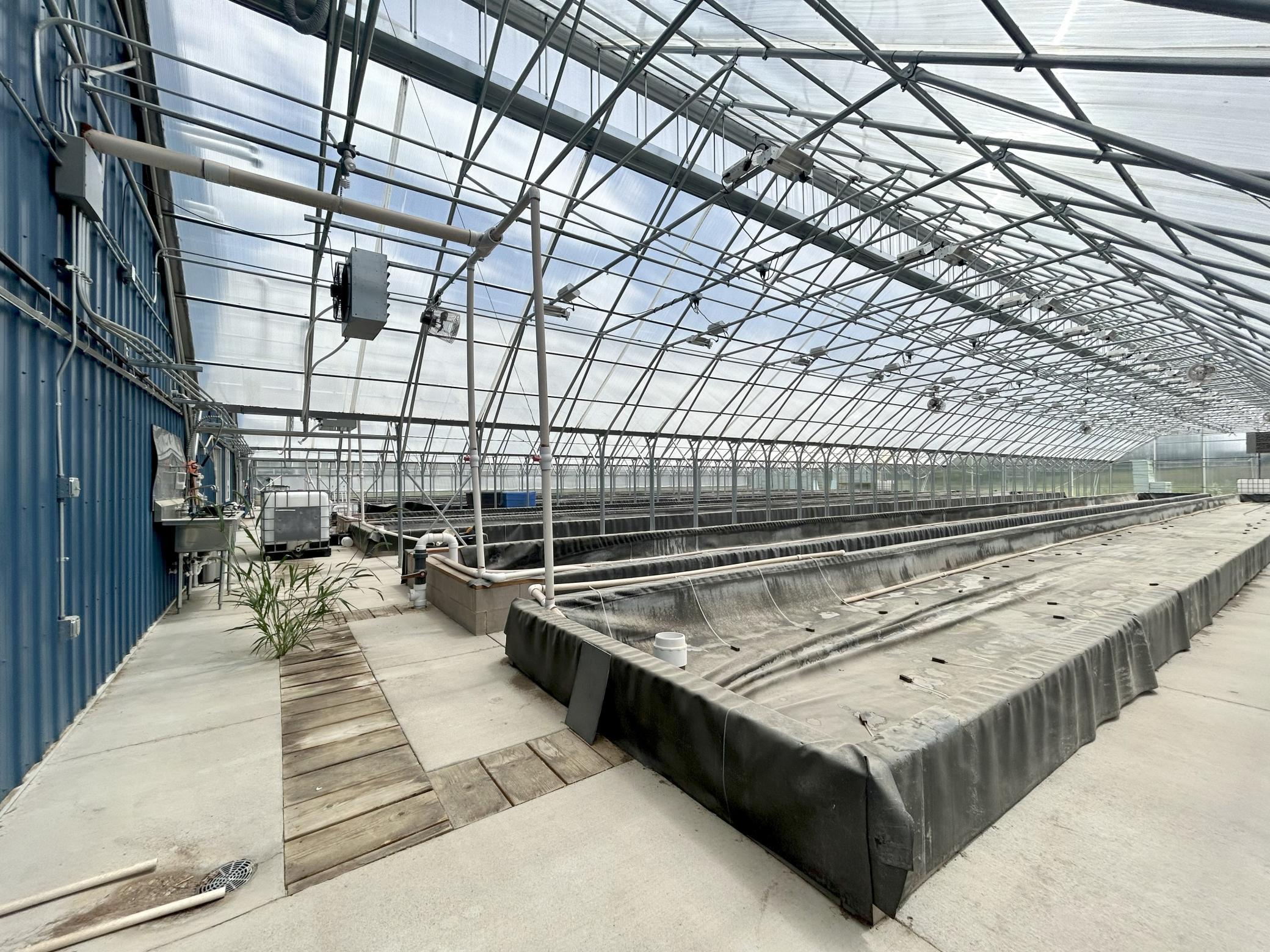 5410 253rd Avenue Northeast Stacy, MN 55079 - Photo 59 of 69