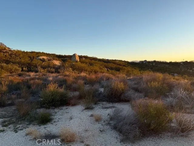a view of a mountain in the distance in a forest