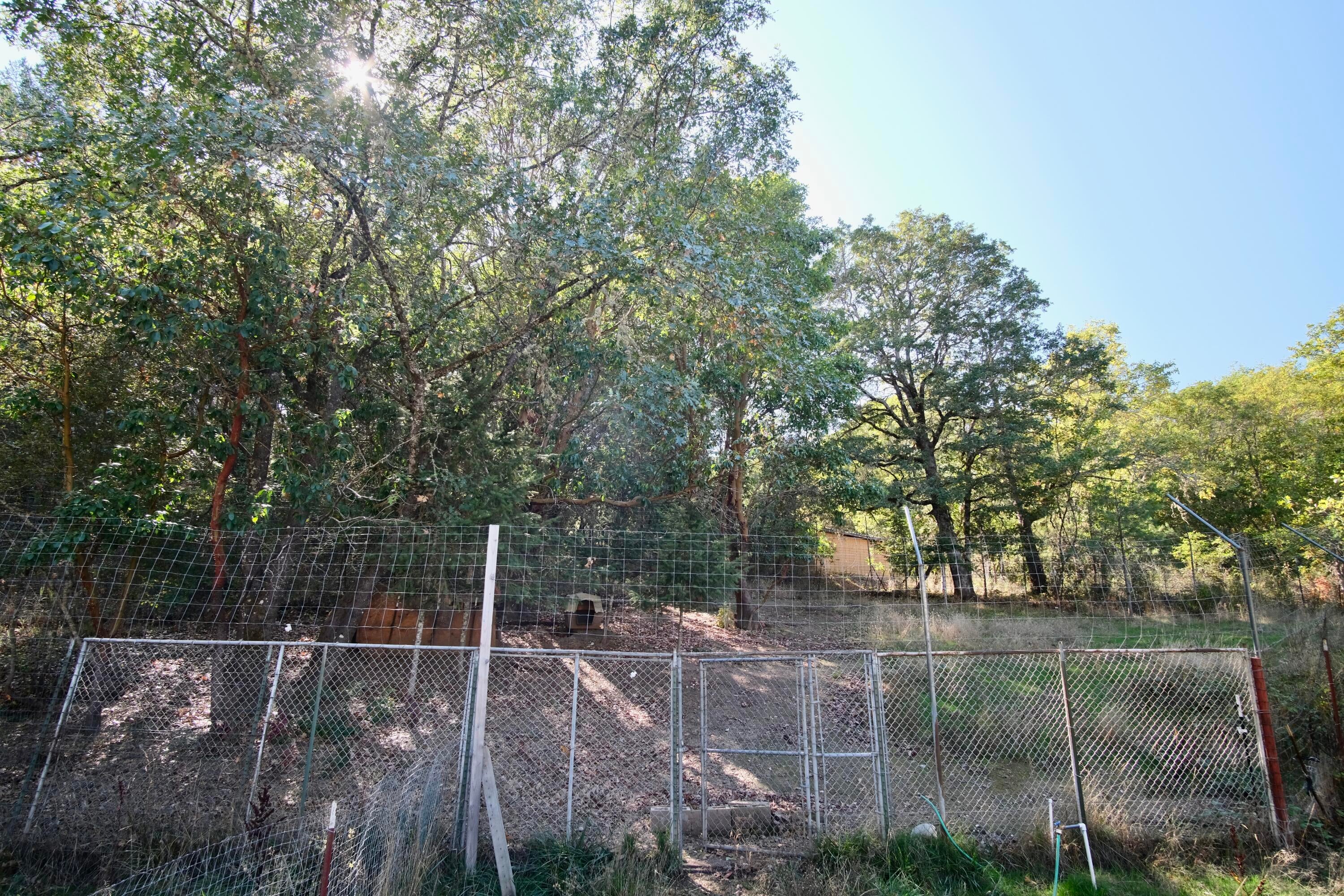 6115 Fish Hatchery Road Grants Pass, OR 97527 - Photo 17 of 19 outside dog run