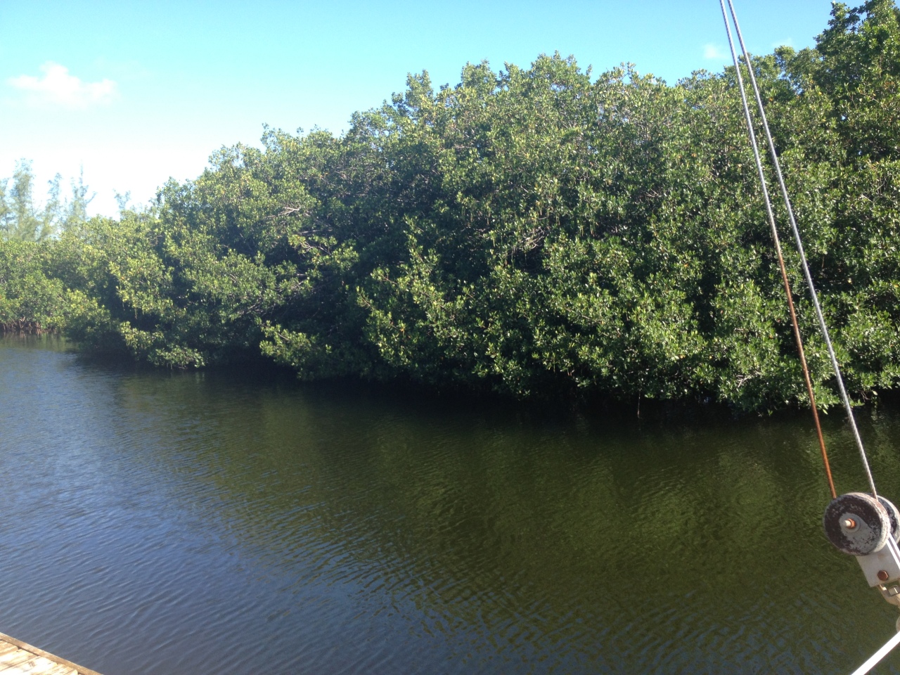 122 Mockingbird Road Tavernier, FL 33070 - Photo 2 of 26 ACROSS CANAL