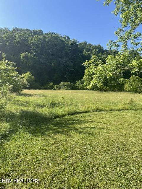 149 Sweetwater Road Philadelphia, TN 37846 - Photo 18 of 25 IMG_2091