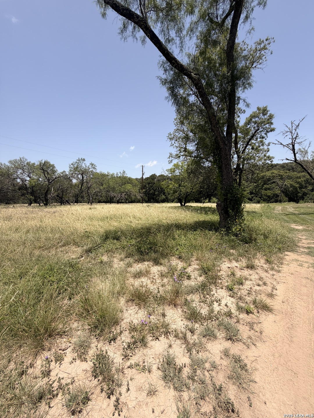1466 Whispering Water Spring Branch, TX 78070 - Photo 5 of 7