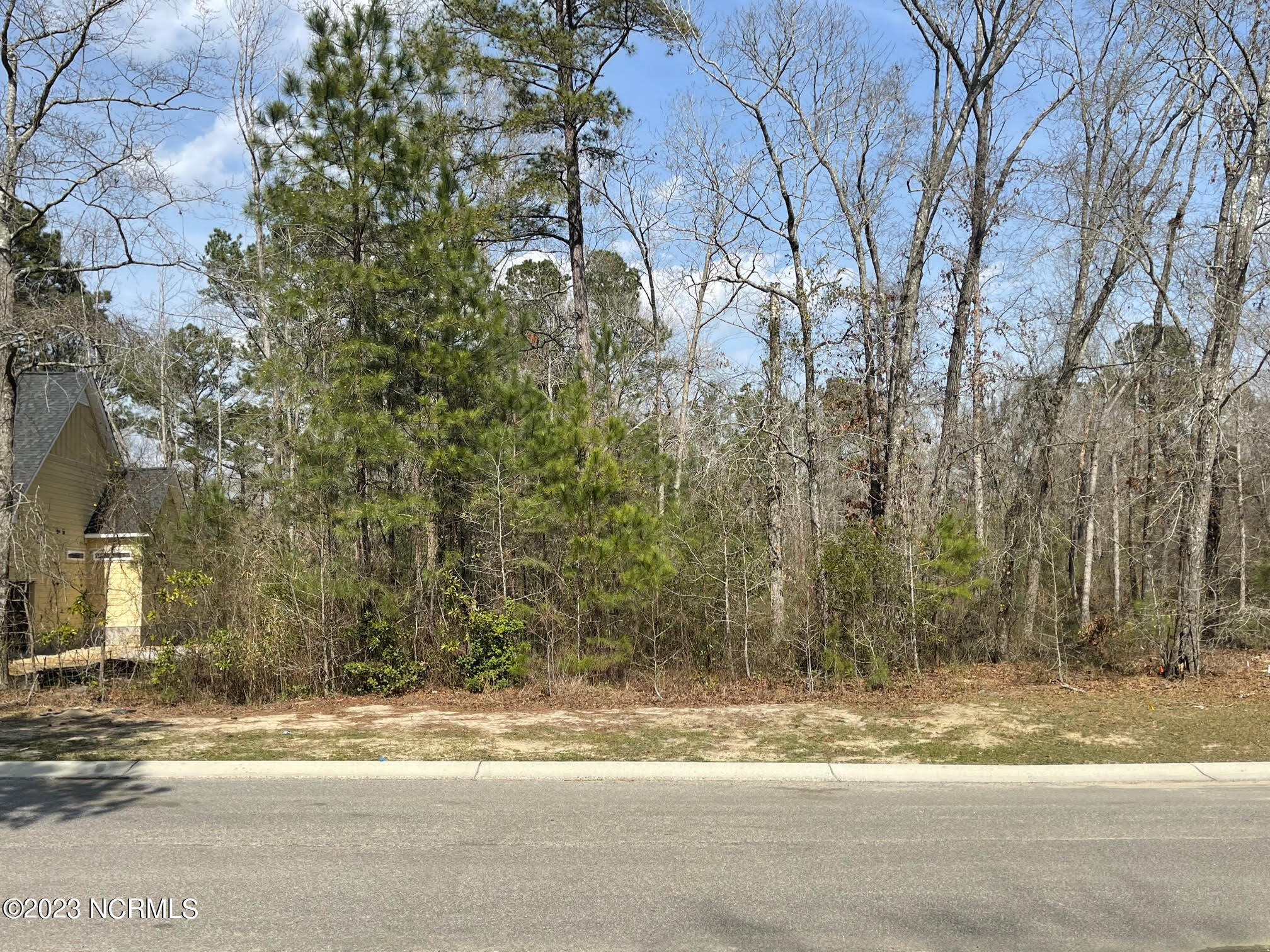 9679 Red Raspberry Road Leland, NC 28451 - Photo 2 of 30 Tommy 1