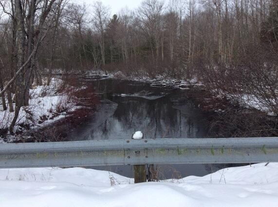 Taylor Road Branch, MI 49402 - Photo 8 of 9 river