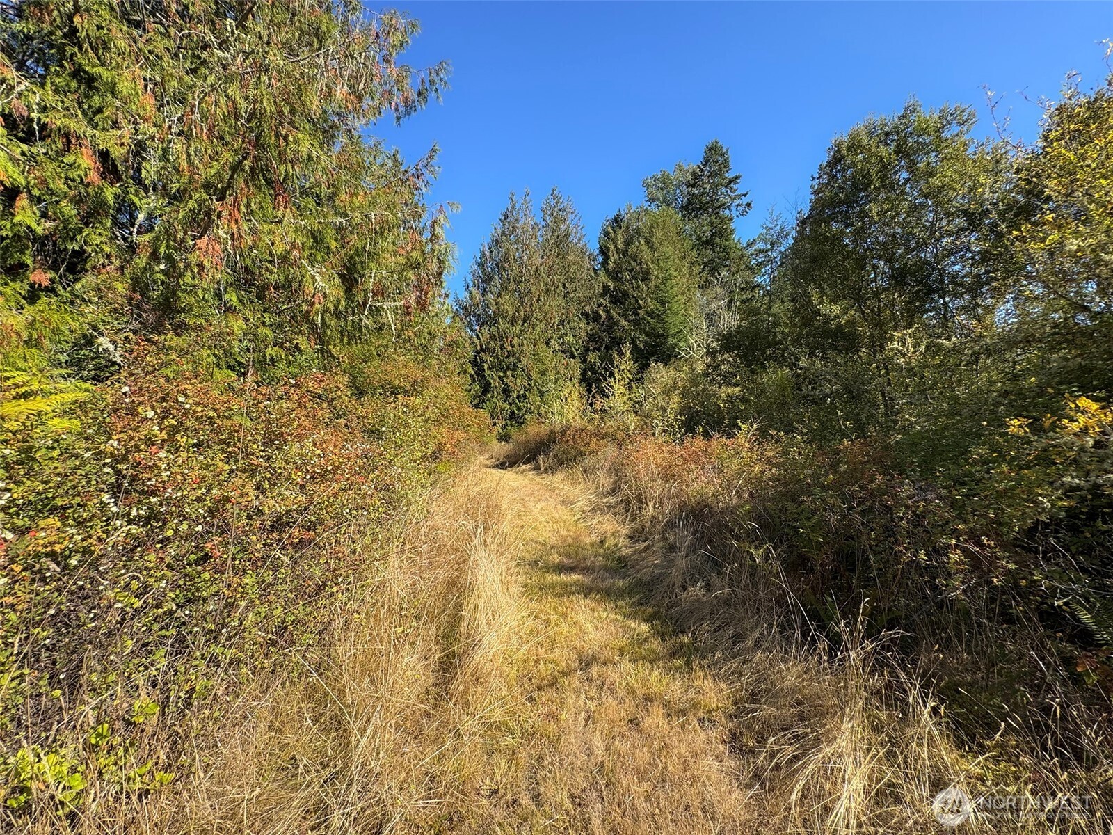 9999 Hooker Road Sequim, WA 98382 - Photo 21 of 40 Gallery Image 21