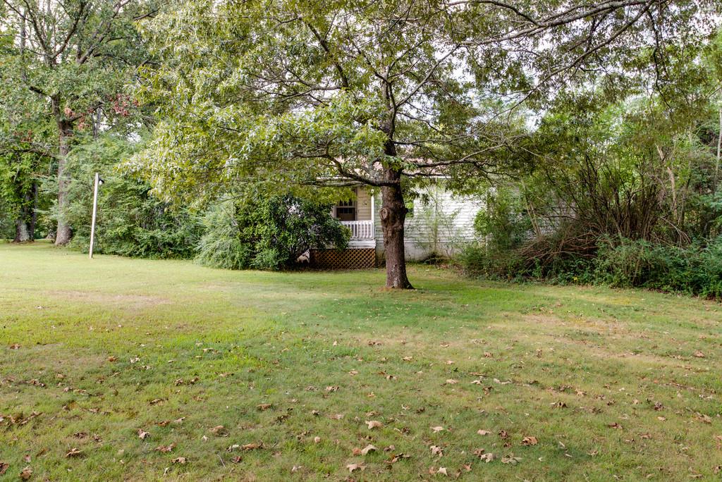 894 Buffalo Road Hohenwald, TN 38462 - Photo 29 of 30 Gallery Image 29