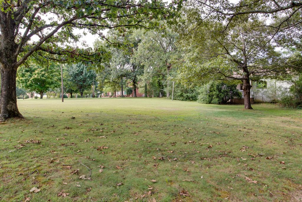 894 Buffalo Road Hohenwald, TN 38462 - Photo 30 of 30 Gallery Image 30