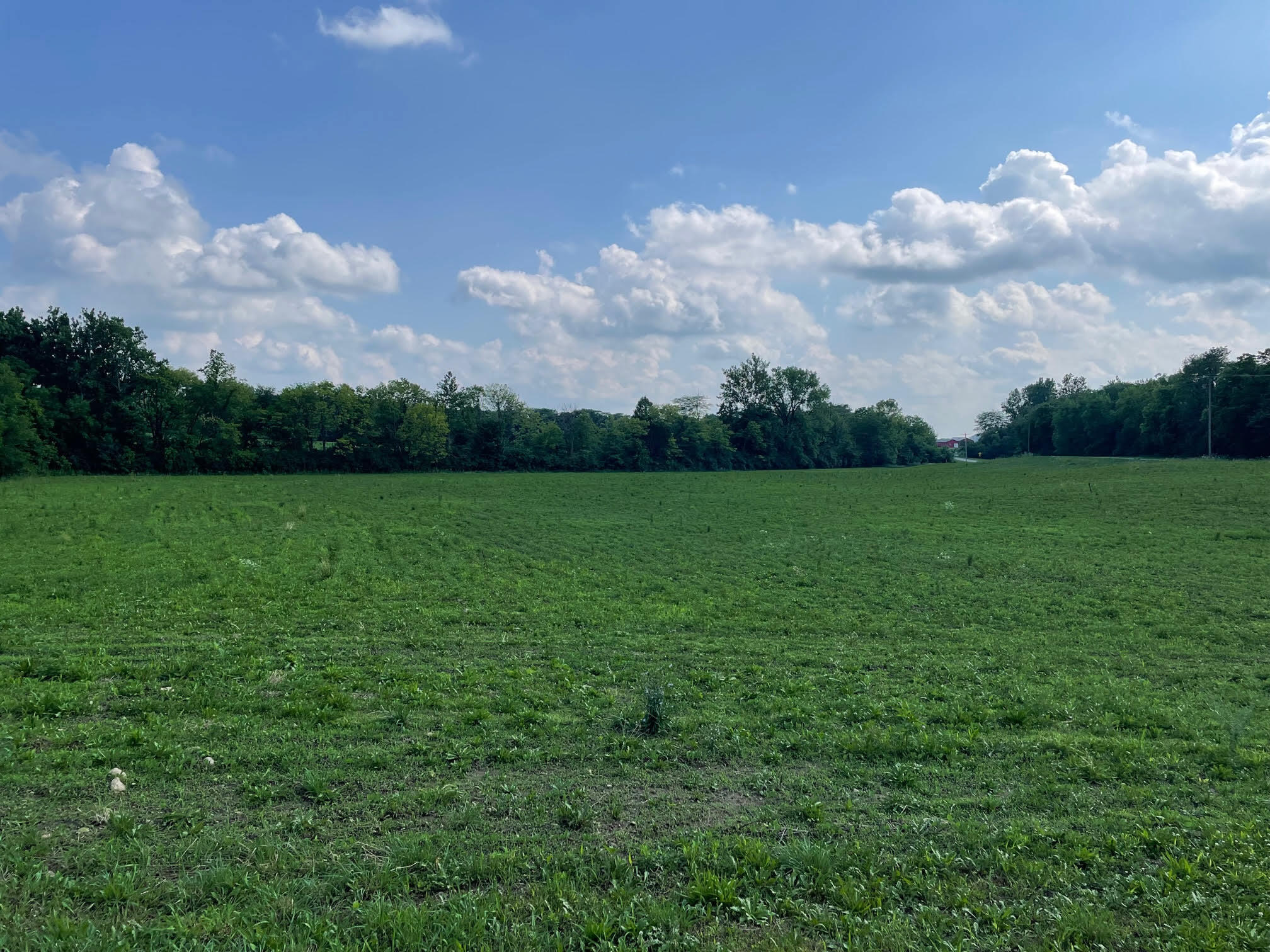 0 Cowpath Road New Carlisle, OH 45344 - Photo 4 of 4