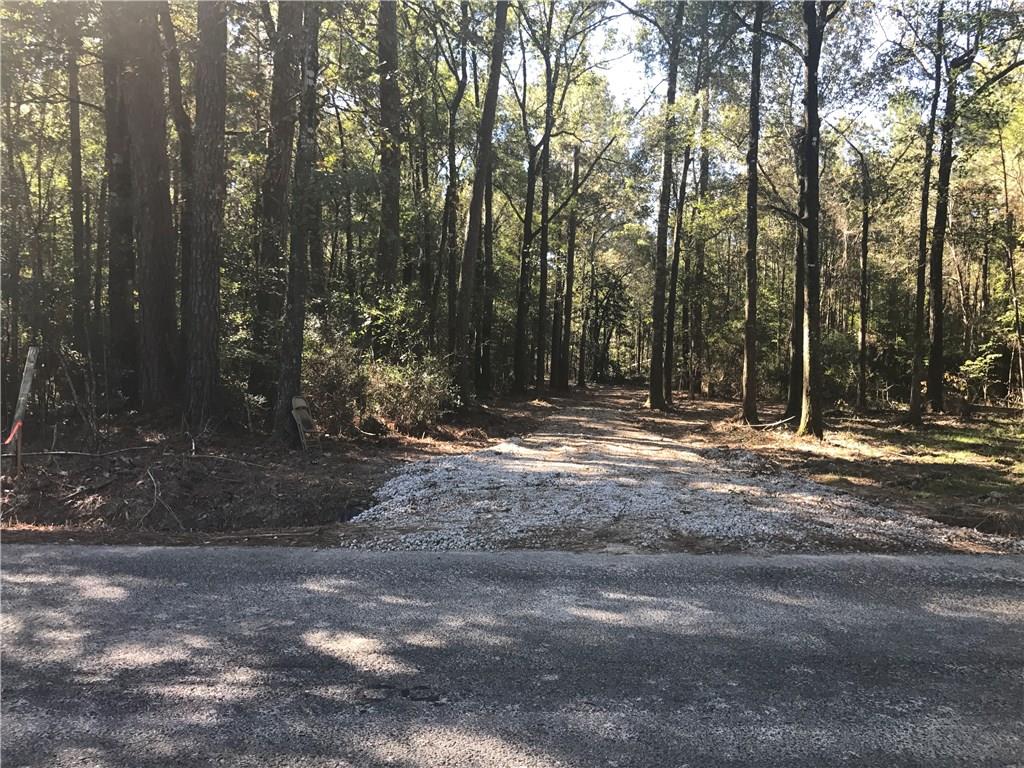 Tract F George White Road Holden, LA 70744 - Photo 2 of 7
