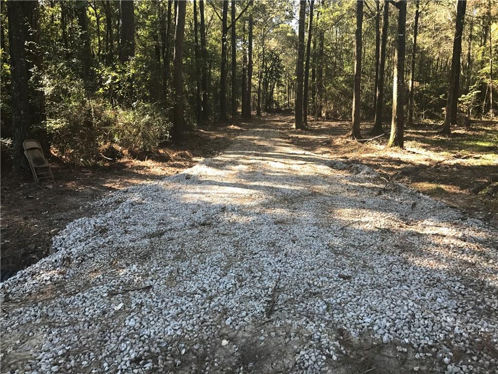 Tract F George White Road Holden, LA 70744 - Photo 3 of 7