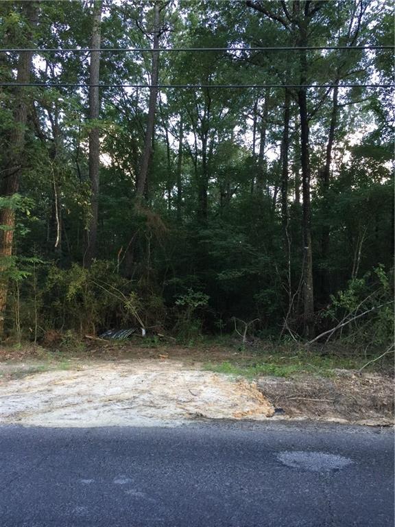Tract F George White Road Holden, LA 70744 - Photo 4 of 7