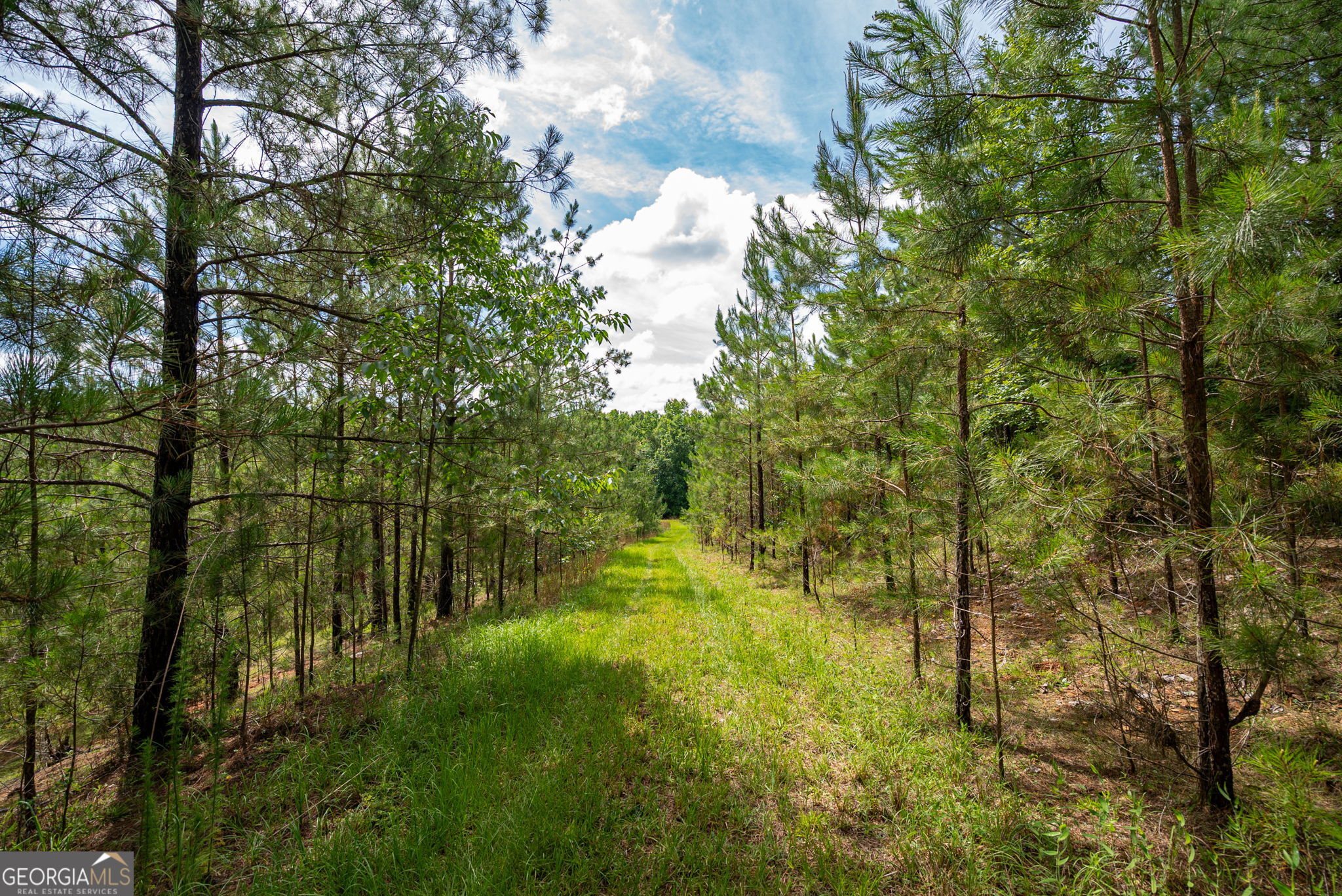 2286 Duffell Martin Road Comer, GA 30629 - Photo 34 of 81