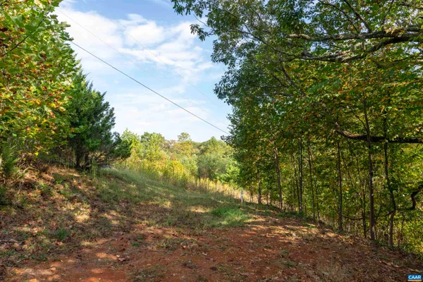 $169,000 | Tbd Cherry Grove Lane, Afton, VA 22920