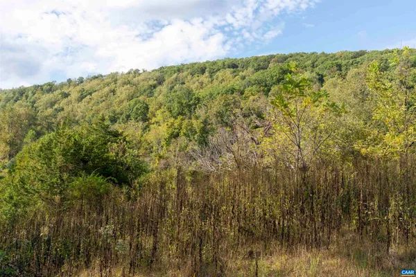 $169,000 | Tbd Cherry Grove Lane, Afton, VA 22920