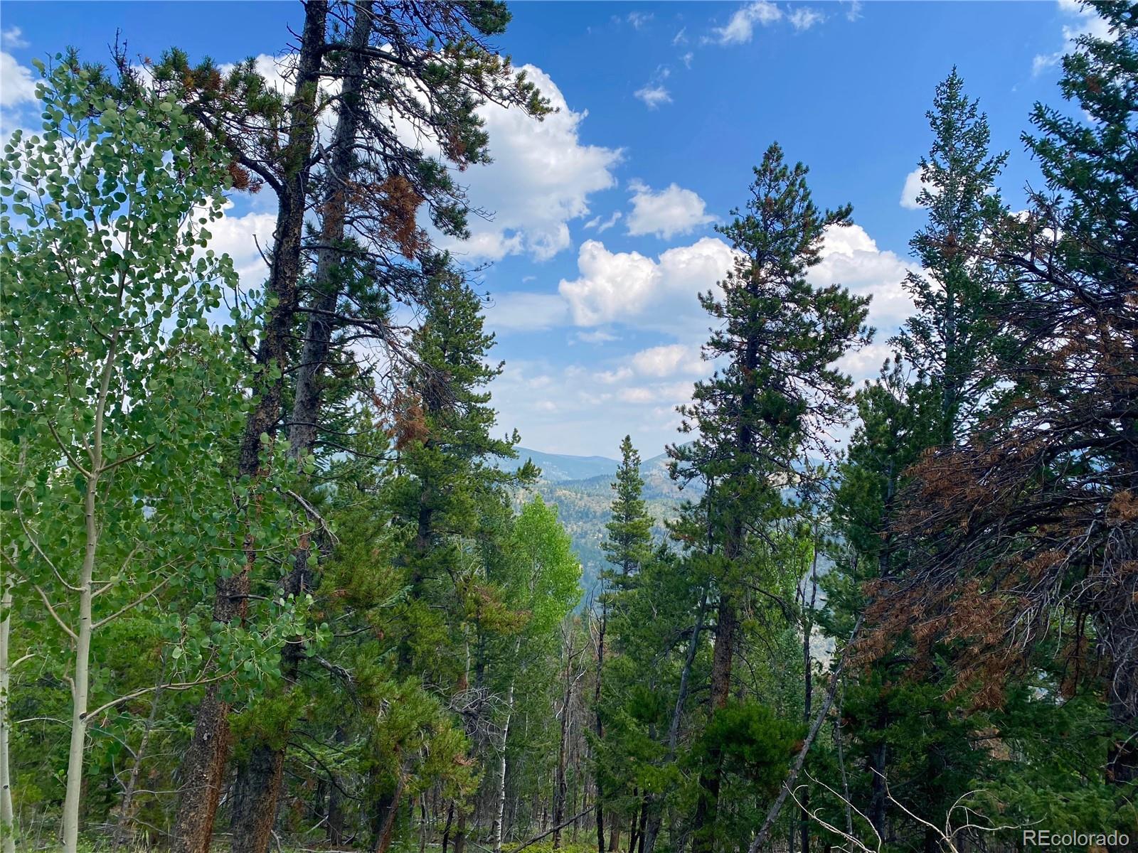 1 Fat Purse Road Dumont, CO 80436 - Photo 9 of 16 Gallery Image 9