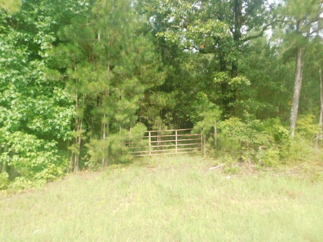 0 Browns Wells Road Wesson, MS 39191 - Photo 1 of 21 Photo 1