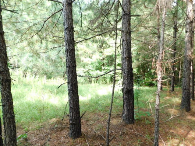 0 Browns Wells Road Wesson, MS 39191 - Photo 11 of 21 Photo 11