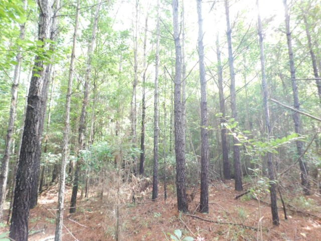 0 Browns Wells Road Wesson, MS 39191 - Photo 14 of 21 Photo 14