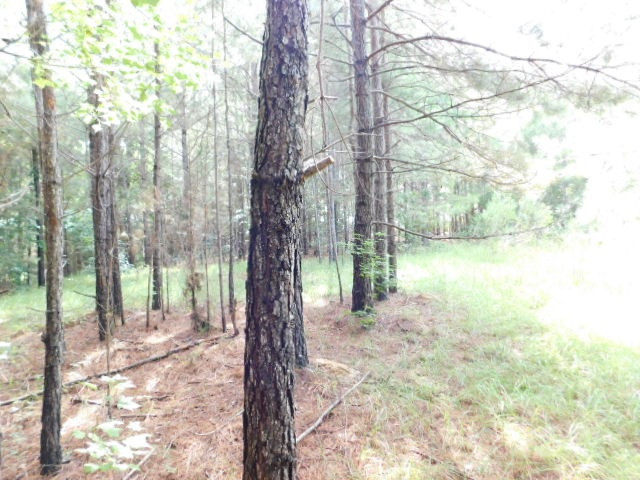 0 Browns Wells Road Wesson, MS 39191 - Photo 16 of 21 Photo 16