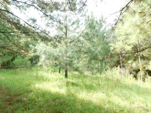 0 Browns Wells Road Wesson, MS 39191 - Photo 17 of 21 Photo 17