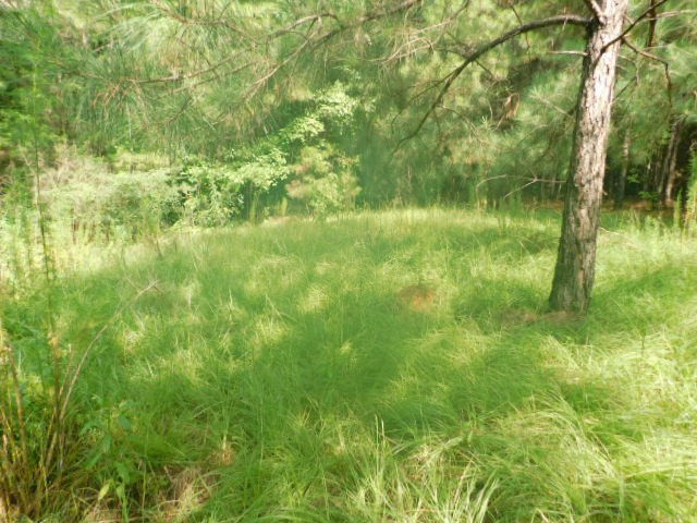 0 Browns Wells Road Wesson, MS 39191 - Photo 18 of 21 Photo 18