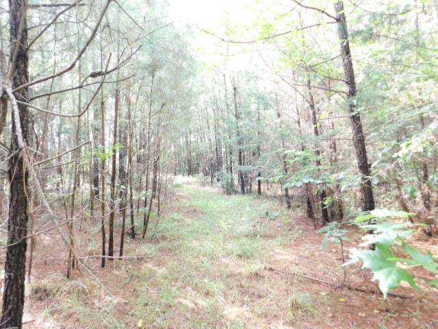0 Browns Wells Road Wesson, MS 39191 - Photo 19 of 21 Photo 19