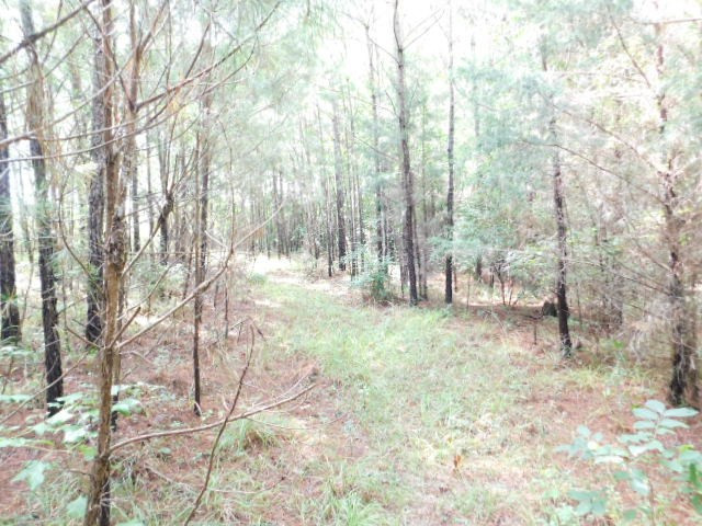 0 Browns Wells Road Wesson, MS 39191 - Photo 20 of 21 Photo 20