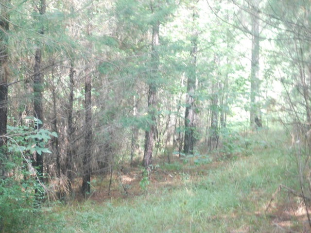 0 Browns Wells Road Wesson, MS 39191 - Photo 2 of 21 Photo 2
