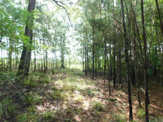0 Browns Wells Road Wesson, MS 39191 - Photo 21 of 21 Photo 21