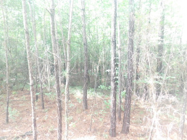 0 Browns Wells Road Wesson, MS 39191 - Photo 3 of 21 Photo 3
