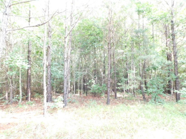 0 Browns Wells Road Wesson, MS 39191 - Photo 9 of 21 Photo 9