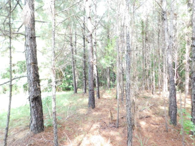 0 Browns Wells Road Wesson, MS 39191 - Photo 10 of 21 Photo 10
