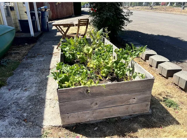 a view of a back yard of the house