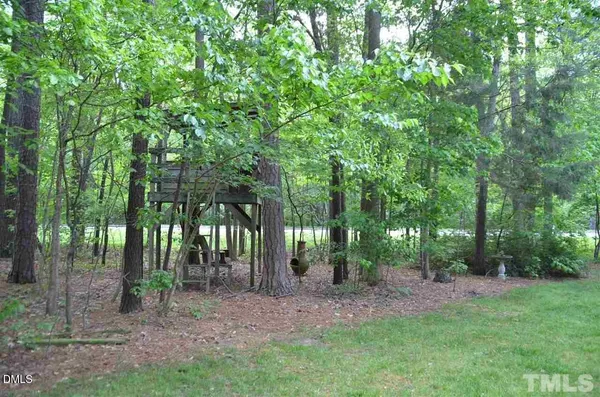 a view of a forest that has large trees