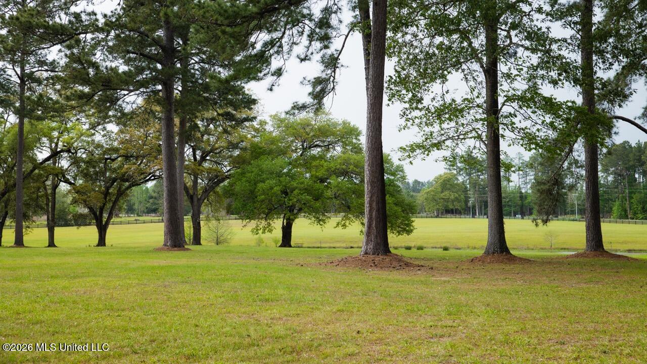 1979 Leman Road Oakdale, LA 71463 - Photo 41 of 44 0R6C9997 Large